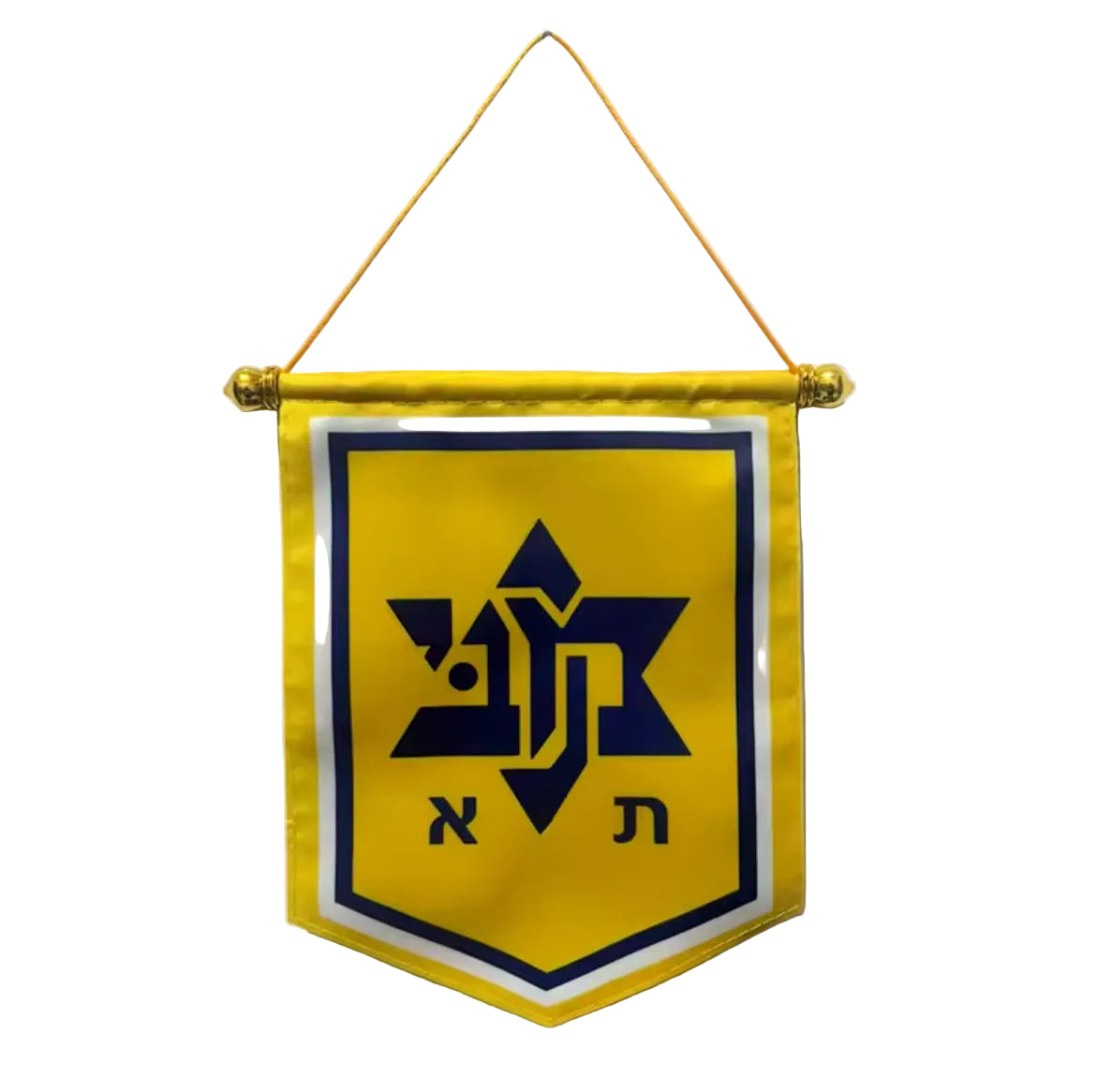 דגל קיר ״MTLV”